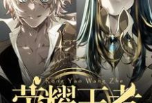 完结版《荣耀王者》章节目录在线阅读-艾米文学