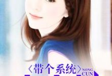 带个系统去农村小说免费资源，带个系统去农村在线阅读-艾米文学