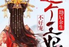 劫后余生：这个王妃不好宠小说的最新章节在哪里更新？免费追踪阅读-艾米文学