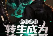 哈利波特:转生成为达力表哥小说的无弹窗阅读体验,寻找免费阅读网站-艾米文学