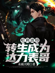 哈利波特：转生成为达力表哥小说的无弹窗阅读体验，寻找免费阅读网站