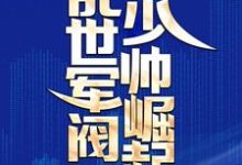 乱世军阀少帅崛起小说，乱世军阀少帅崛起免费阅读-艾米文学