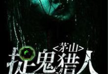 茅山捉鬼猎人这本小说完结了吗？免费查看最新章节-艾米文学