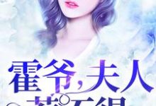 主角叫顾安霍辰东小说霍爷，夫人惹不得章节免费阅读-艾米文学