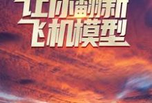 让你翻新飞机模型,你却打造幽灵战机?小说阅读,让你翻新飞机模型,你却打造幽灵战机?完结版-艾米文学