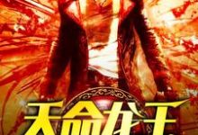 天命龙王小说阅读,天命龙王完结版-艾米文学