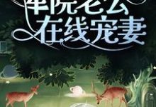 完结版《七零：揣崽后，军院老公在线宠妻》在线免费阅读-艾米文学