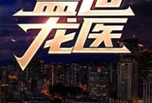 《盖世龙医》小说章节列表免费试读,苏灿叶紫梦小说在线阅读-艾米文学