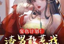 谢昀沈妤为主角的小说叫什么?免费看复仇计划!渣男敢惹我将门虎女-艾米文学