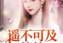 遥不可及的他小说的最新章节在哪里更新?免费追踪阅读-艾米文学