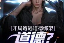 开局遭遇道德绑架，道德？我没有！林北张三小说大结局免费试读-艾米文学