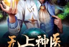 无上神医叶漠林芊芊陈敏沐灵犀在线章节免费阅读-艾米文学