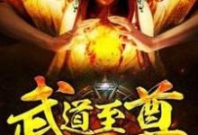 求叶梵天萧泽钰刘欣王雪小说免费资源-艾米文学