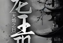 大婚之日,龙王现小说,大婚之日,龙王现最新章节-艾米文学