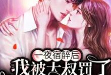 一夜宿醉后，我被大叔罚了100遍家规这本小说完结了吗？免费查看最新章节-艾米文学
