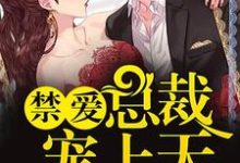 主人公叫陌西染周延琛桃文白井城的小说禁爱总裁宠上天在线阅读章节-艾米文学