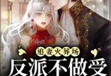 宋言之裴聿琛的完整故事在哪里？读追妻火葬场：反派不做受气媳妇啦小说-艾米文学