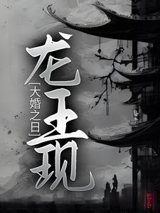 大婚之日，龙王现林见鹿龙冥渊小说在线章节免费阅读