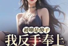 免费阅读龙倾城为主角的小说，被嘲是傻子，我反手奉上满分状元在线看-艾米文学
