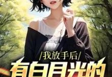 我放手后，有白月光的女友后悔了最新章节，我放手后，有白月光的女友后悔了免费阅读-艾米文学
