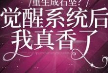 完结版《重生成石坚?觉醒系统我后真香了》章节阅读-艾米文学