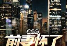 完结版《离婚后,前妻怀了我的孩子》章节阅读-艾米文学