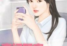 男女主人公叫薄斯年苏晚晚的小说免费资源-艾米文学