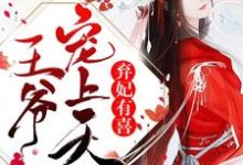 弃妃有喜:王爷,宠上天最新章节,弃妃有喜:王爷,宠上天免费阅读-艾米文学