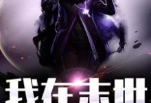 小说《我在末世》在线章节阅读-艾米文学
