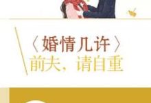 婚情几许:前夫,请自重小说的免费阅读版本在哪里可以找到?-艾米文学