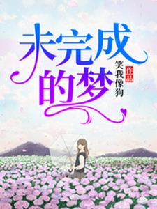 想读洛洛西天道赵伟的故事，哪里可以免费找到未完成的梦？