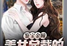 《鉴宝金瞳:美女总裁的贴身鉴宝师》小说章节在线试读,《鉴宝金瞳:美女总裁的贴身鉴宝师》最新章节目录-艾米文学