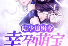 陆少追缉令：幸孕萌宝亿万妻南溪陆景深陆夏南雨涵小说在线章节免费阅读-艾米文学