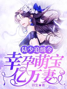 陆少追缉令：幸孕萌宝亿万妻南溪陆景深陆夏南雨涵小说在线章节免费阅读