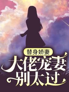 苏瓷傅南城小说在哪里可以看