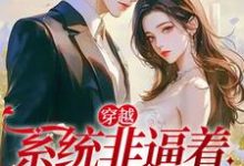 穿越：系统非逼着我做反派小说阅读，穿越：系统非逼着我做反派完结版-艾米文学