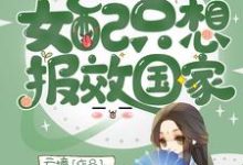 主角叫章序陆屿小说快穿之女配只想报效国家章节免费阅读-艾米文学