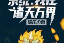 主人公叫苏义江飘雪的小说哪里免费看-艾米文学