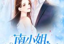 小说《南小姐，复婚请签字》章节阅读-艾米文学