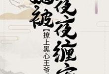 求推荐可以免费阅读撩上黑心王爷后，她被夜夜缠宠小说的网站-艾米文学