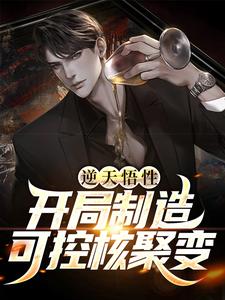 已完结小说《逆天悟性，开局制造可控核聚变》章节免费阅读