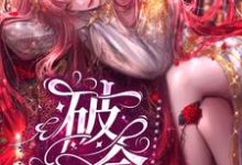 寻找能够免费阅读叶罗丽之破命小说的平台-艾米文学