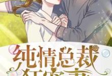纯情总裁狂宠妻主角苗一夕狄高阳小说完结版章节在线阅读-艾米文学