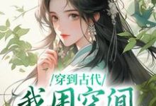 穿到古代,我用空间带飞全家最新章节,穿到古代,我用空间带飞全家章节在线阅读-艾米文学