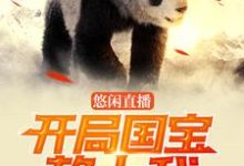悠闲直播：开局国宝赖上我小说全文阅读需要付费吗？寻找免费资源-艾米文学