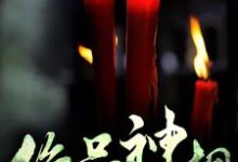 绝品神相王宇苏如月，绝品神相在线无弹窗阅读-艾米文学