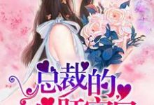 主人公叫秦时雨孟祁然苏洵江牧峥的小说总裁的心肝宝贝在线阅读章节-艾米文学