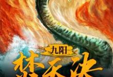 萧凌北清雪为主角的小说叫什么？免费看九阳焚天决-艾米文学