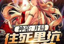 神豪：开局往死里坑白富美小说的无弹窗阅读体验，寻找免费阅读网站-艾米文学