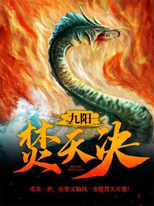 萧凌北清雪小说在线章节免费阅读（九阳焚天决无弹窗无删减）